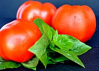  Penne with Tomatoe & Basil 400gr