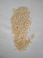 orzo,goats milk and eggs pasta