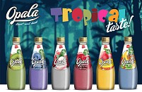 Opala - Basil Seed Drinks